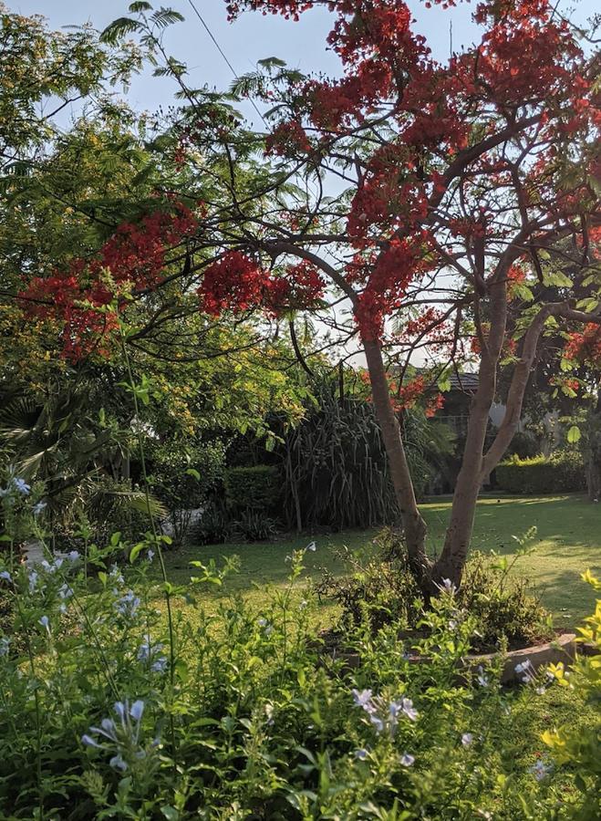 The Residence Villa Chobe Kasane Εξωτερικό φωτογραφία